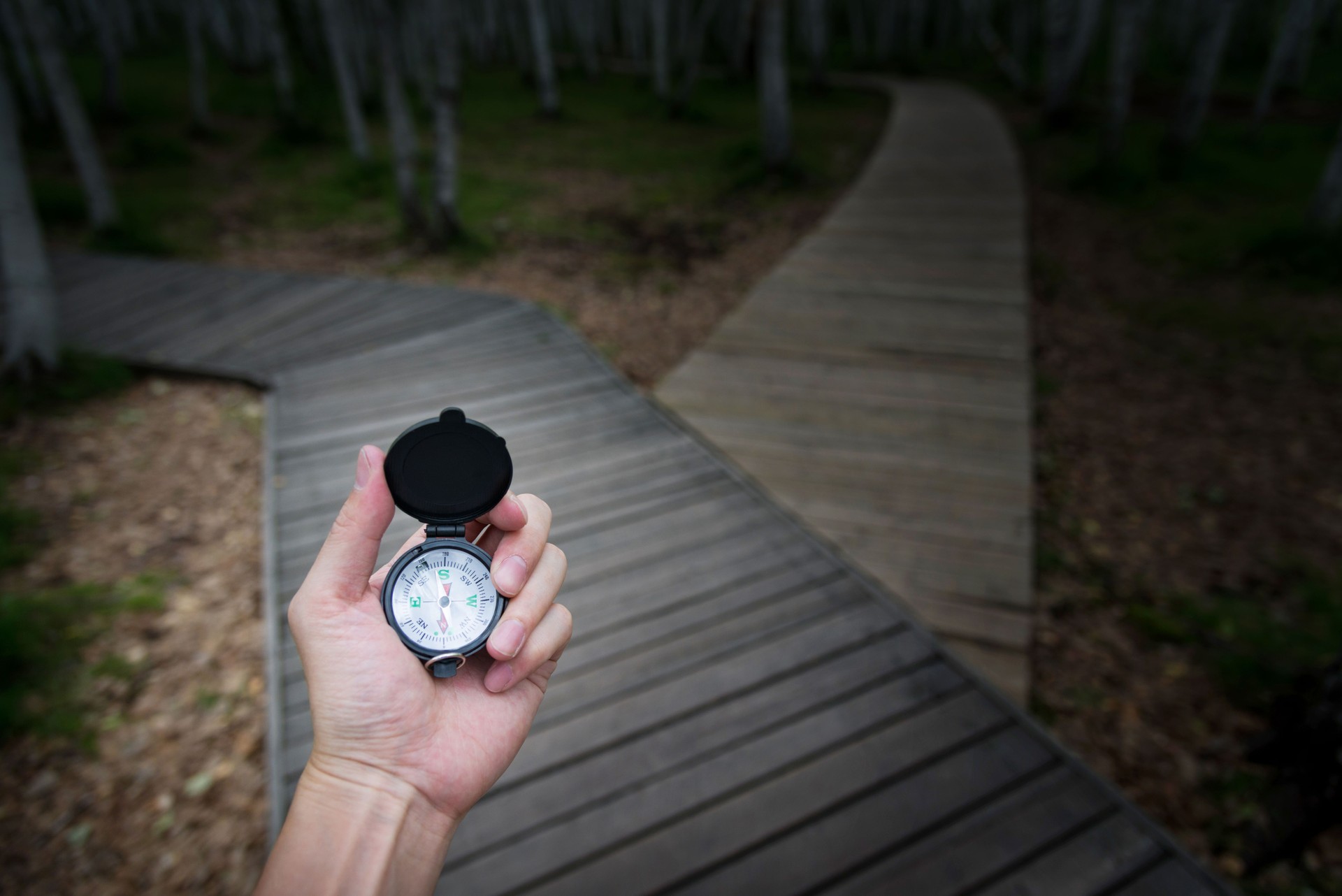 Human hand holding a compass on the forked road